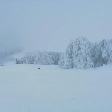 Colt De Rai - De Inchiriat Rum i privatbostad Resita